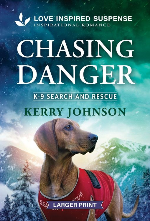Produktbild: Chasing Danger