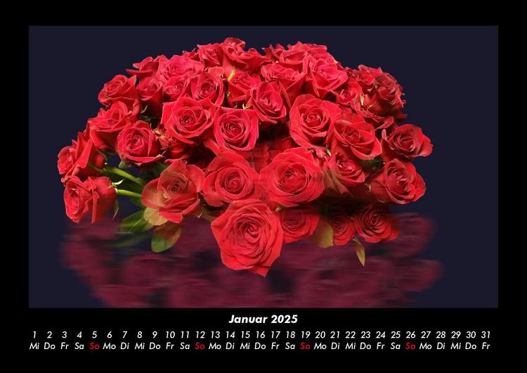 Produktbild: Rosen-Kalender 2025 Fotokalender DIN A3