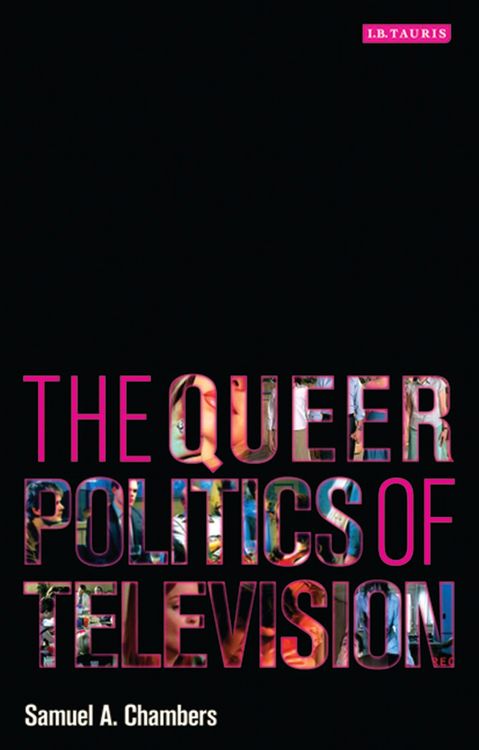Produktbild: The Queer Politics of Television