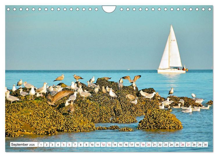 Produktbild: Blankenberge - belgischer K&uuml;stenort (Wandkalender 2026 DIN A4 quer), CALVENDO Monatskalender