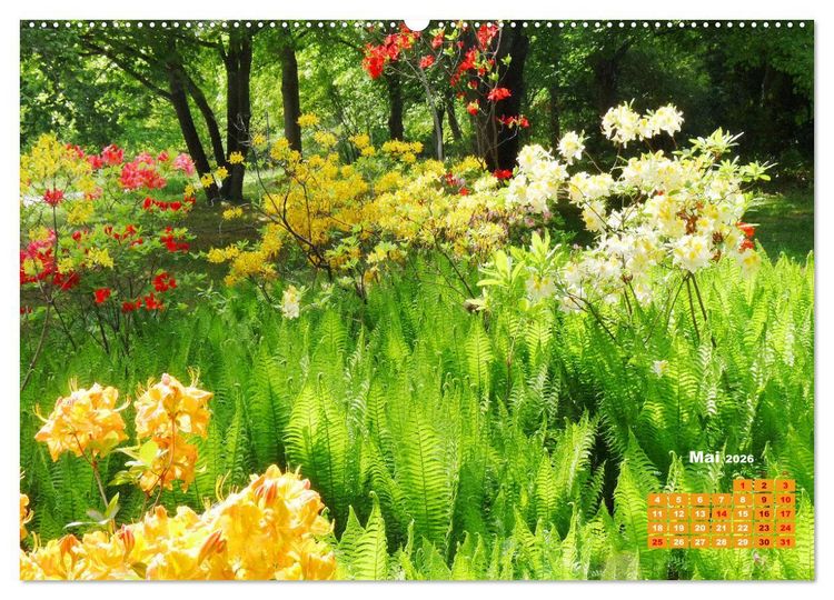 Produktbild: Urlaub im Garten (Wandkalender 2026 DIN A2 quer), CALVENDO Monatskalender