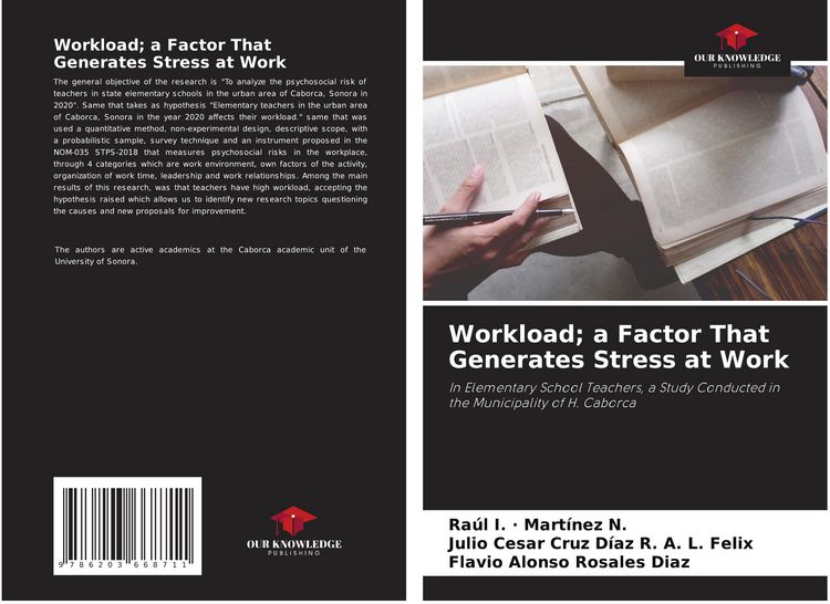Produktbild: Workload; a Factor That Generates Stress at Work