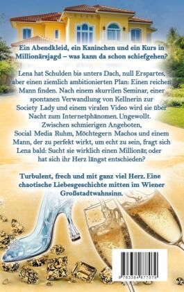 Produktbild: Aschenputtel mit Businessplan