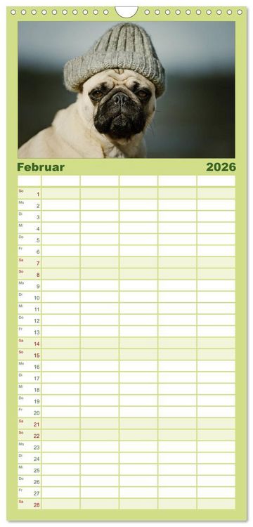 Produktbild: Familienplaner 2026 - Der MOPS-Kalender mit 5 Spalten (Wandkalender, 21 x 45 cm) CALVENDO