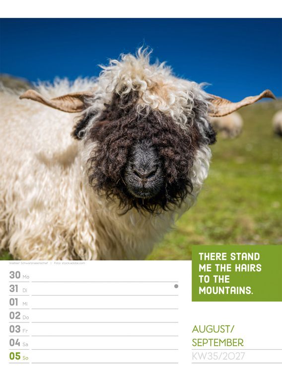 Produktbild: Tierisch Spr&uuml;chekalender Wochenplaner 2027