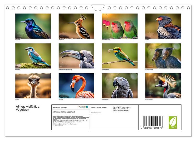 Produktbild: Afrikas vielf&auml;ltige Vogelwelt (Wandkalender 2026 DIN A4 quer), CALVENDO Monatskalender