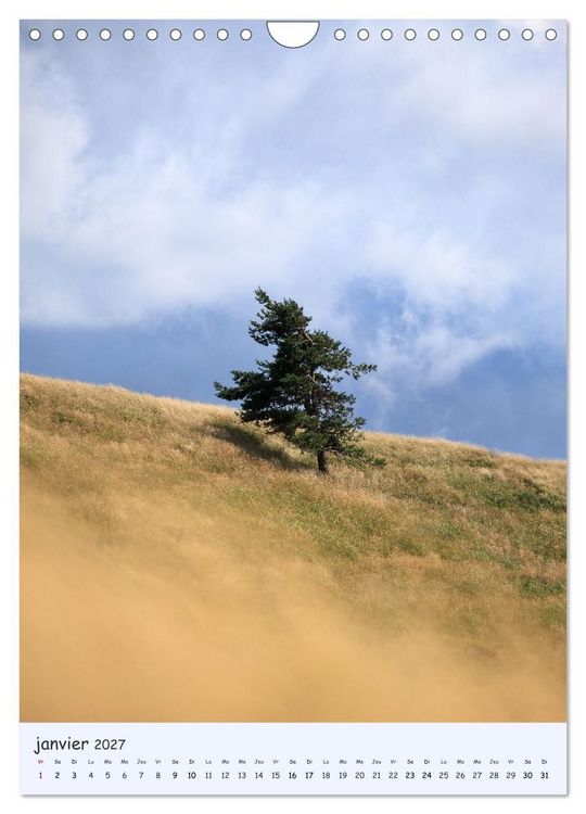 Produktbild: Arbres solitaires (Calendrier mural 2027 DIN A4 horizontal), CALVENDO calendrier mensuel