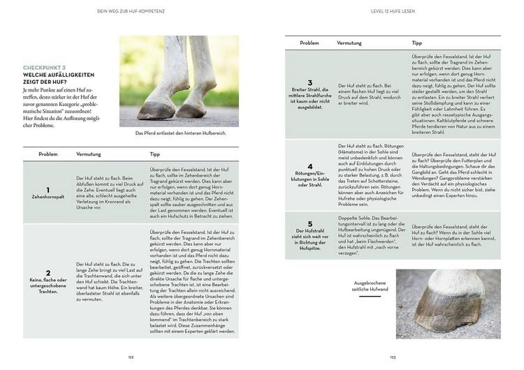 Produktbild: Hufe lesen