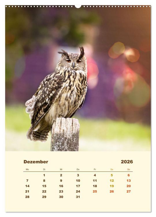 Produktbild: Uhu, die Faszination bernsteinfarbener Augen (Wandkalender 2026 DIN A2 hoch), CALVENDO Monatskalender