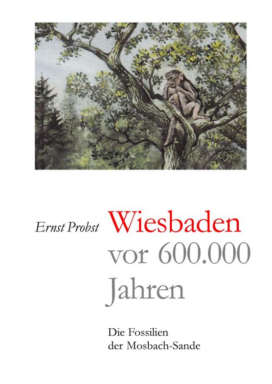 Produktbild: Wiesbaden vor 600.000 Jahren