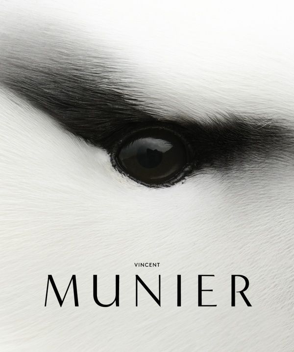 Produktbild: Vincent Mugnier