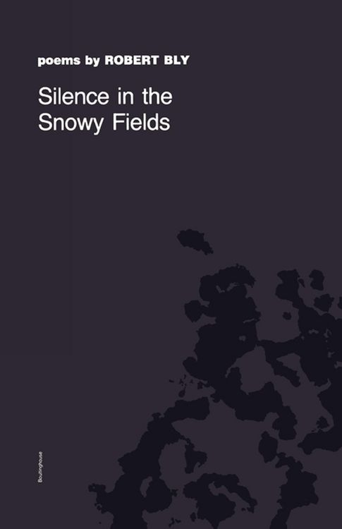 Produktbild: Silence in the Snowy Fields