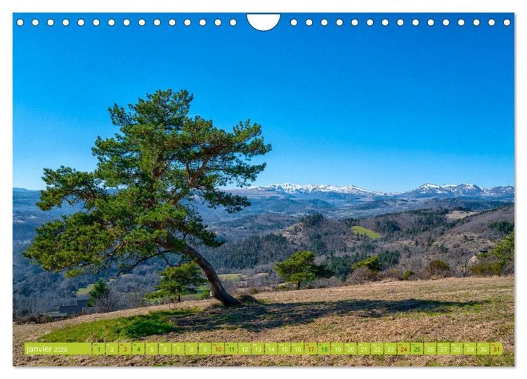 Produktbild: Solitude verdoyante (Calendrier mural 2026 DIN A4 vertical), CALVENDO calendrier mensuel