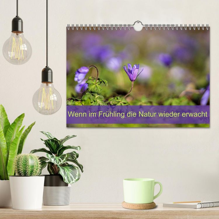 Produktbild: Wenn im Fr&uuml;hling die Natur wieder erwacht (Wandkalender 2026 DIN A4 quer), CALVENDO Monatskalender