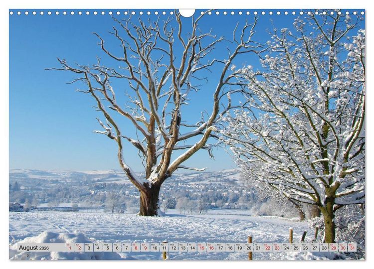 Produktbild: Snow Scenes (Wall Calendar 2026 DIN A3 landscape), CALVENDO 12 Month Wall Calendar