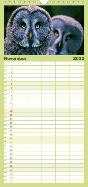 Produktbild: Familienplaner Tiere des Waldes (Wandkalender 2022 , 21 cm x 45 cm, hoch)