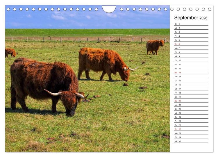Produktbild: Langeoog - Sch&ouml;nste Insel Ostfrieslands (Wandkalender 2026 DIN A4 quer), CALVENDO Monatskalender