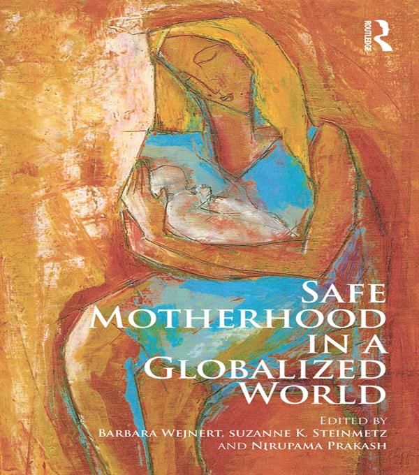 Produktbild: Safe Motherhood in a Globalized World