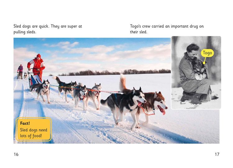 Produktbild: Super Dogs