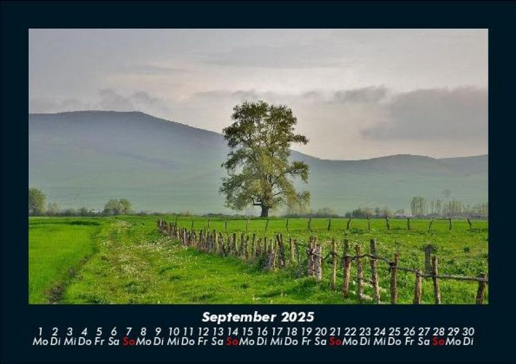 Produktbild: B&auml;ume 2025 Fotokalender DIN A5