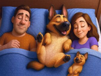 Produktbild: CALVENDO Puzzle Familienfrieden - Sch&auml;ferhund schl&auml;ft im Bett | 2000 Teile Lege-Gr&ouml;&szlig;e 90x67cm Foto-Puzzle f&uuml;r gl&uuml;ckliche Stunden