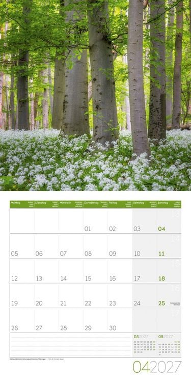 Produktbild: Naturwunder Deutschland Kalender 2027 - 30x30 - Art12