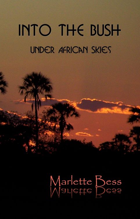 Produktbild: Into The Bush