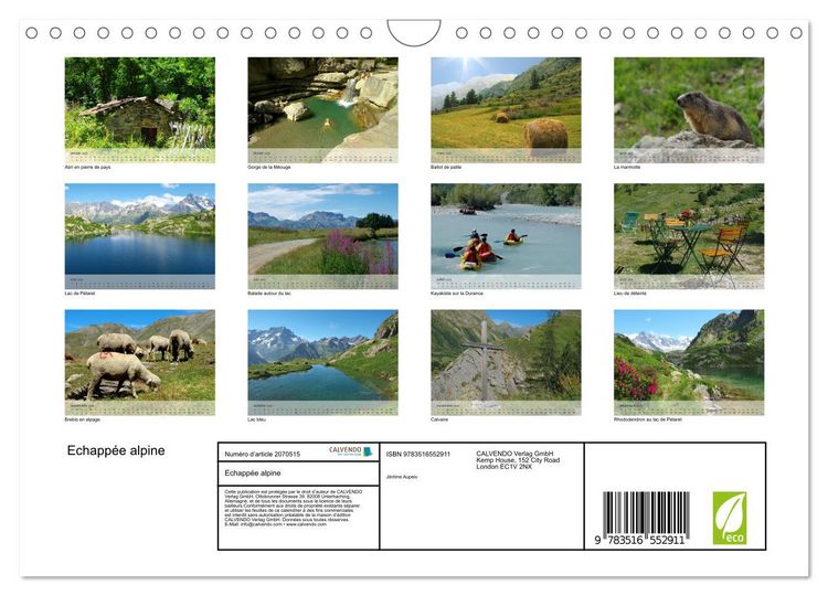 Produktbild: Echapp&eacute;e alpine (Calendrier mural 2026 DIN A4 vertical), CALVENDO calendrier mensuel