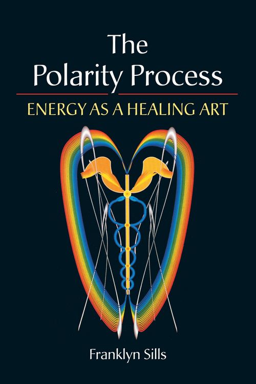 Produktbild: The Polarity Process