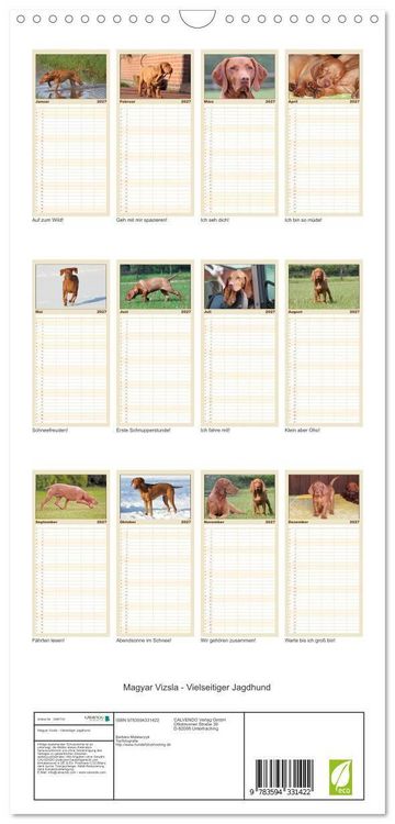 Produktbild: Familienplaner 2027 - Magyar Vizsla - Vielseitiger Jagdhund mit 5 Spalten (Wandkalender, 21 x 45 cm) CALVENDO
