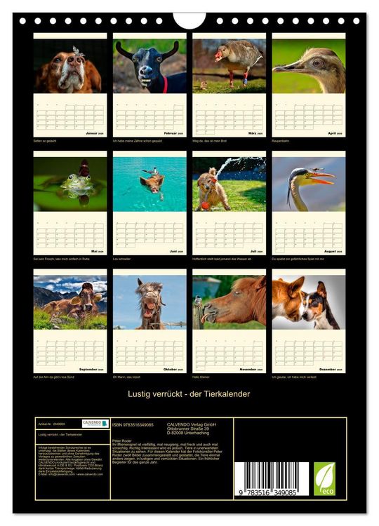 Produktbild: Lustig verr&uuml;ckt - der Tierkalender (Wandkalender 2026 DIN A4 hoch), CALVENDO Monatskalender