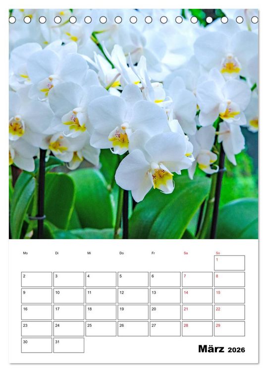 Produktbild: Orchideen - Tropische Sch&ouml;nheiten (Tischkalender 2026 DIN A5 hoch), CALVENDO Monatskalender