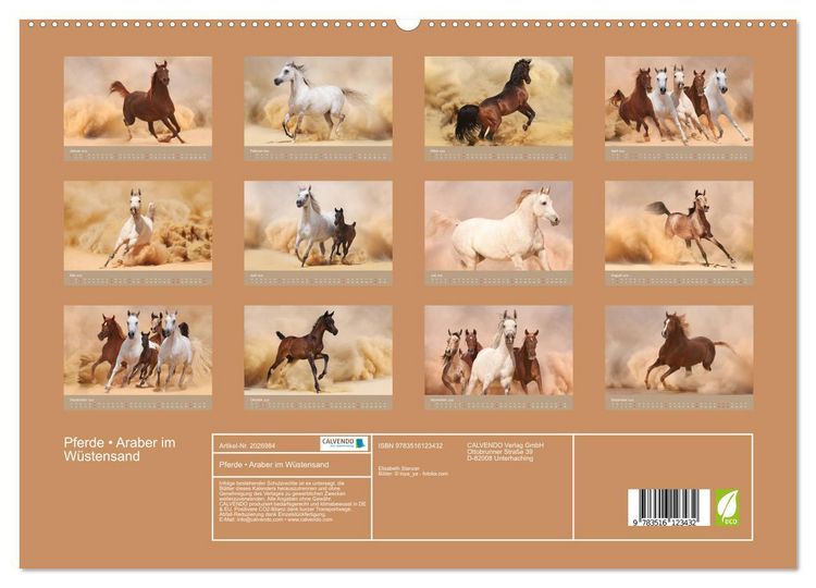 Produktbild: Pferde &bull; Araber im W&uuml;stensand (hochwertiger Premium Wandkalender 2026 DIN A2 quer), Kunstdruck in Hochglanz