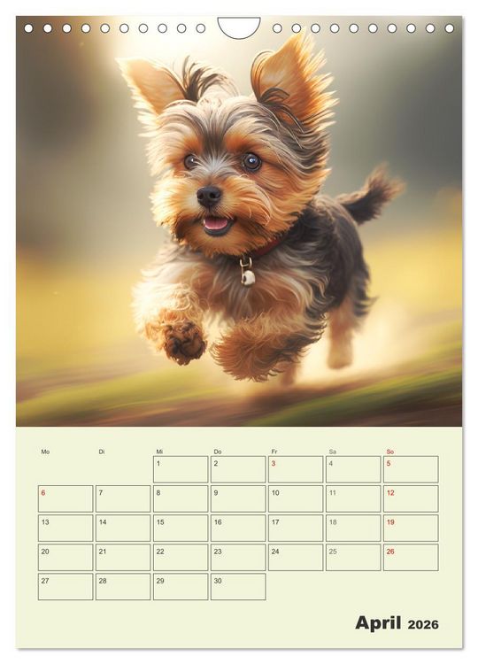 Produktbild: Yorkshire Terrier. Fr&ouml;hliche Energieb&uuml;ndel in Aktion (Wandkalender 2026 DIN A4 hoch), CALVENDO Monatskalender