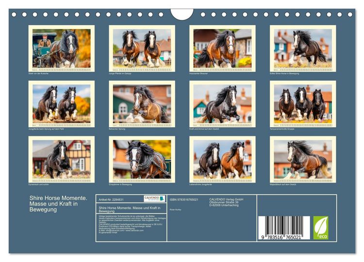 Produktbild: Shire Horse Momente. Masse und Kraft in Bewegung (Wandkalender 2027 DIN A4 quer), CALVENDO Monatskalender