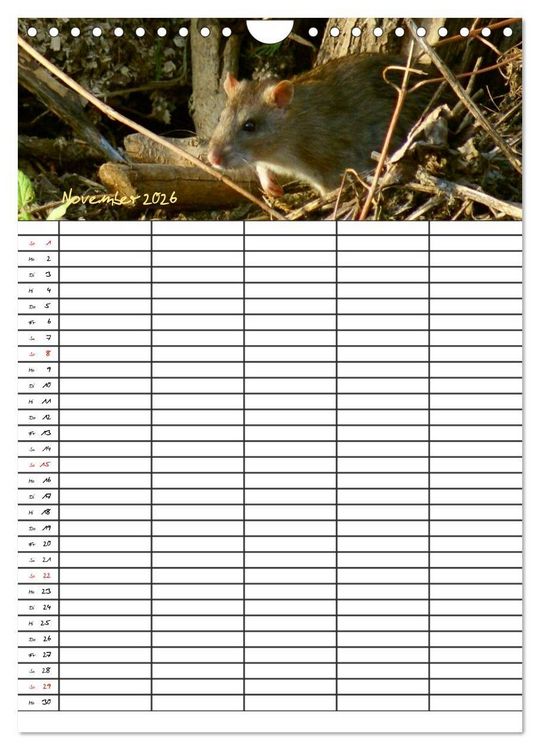 Produktbild: Bauernhoftiere Familienplaner (Wandkalender 2026 DIN A4 hoch), CALVENDO Monatskalender