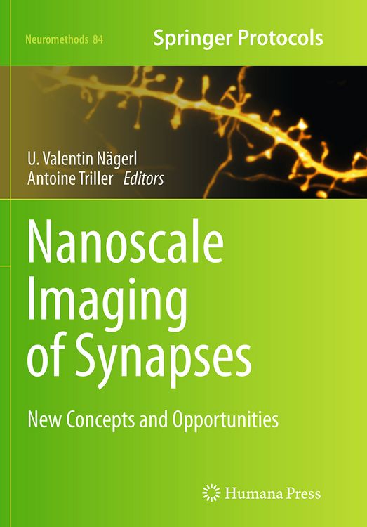 Produktbild: Nanoscale Imaging of Synapses