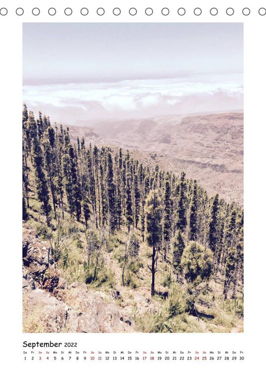 Produktbild: La Gomera - Instantfotografie (Tischkalender 2022 DIN A5 hoch)