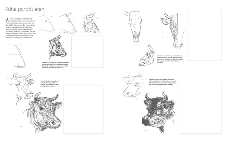 Produktbild: Die Kunst des Zeichnens - Tiere &Uuml;bungsbuch