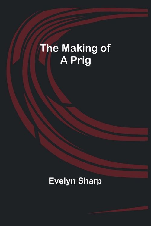 Produktbild: The Making of a Prig