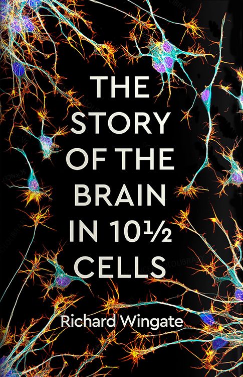 Produktbild: The Story of the Brain in 10&frac12; Cells