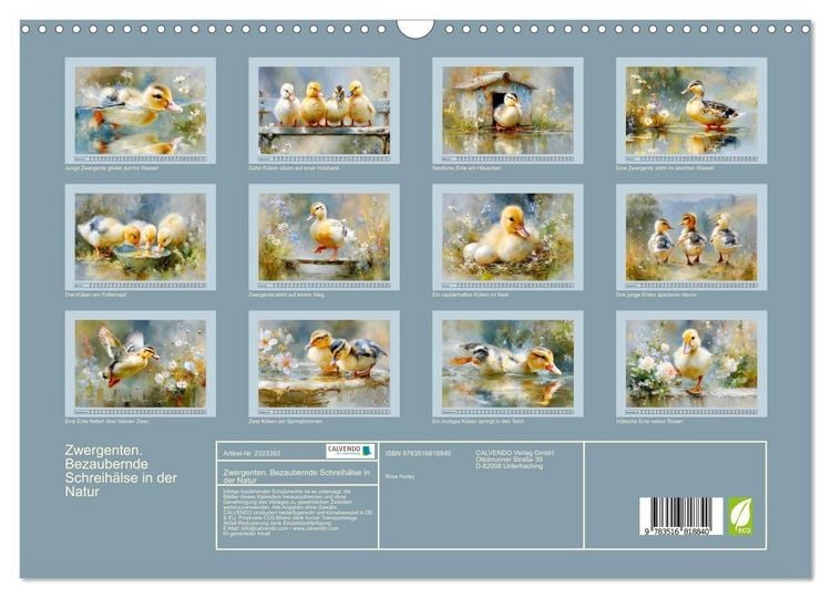 Produktbild: Zwergenten. Bezaubernde Schreih&auml;lse in der Natur (Wandkalender 2027 DIN A3 quer), CALVENDO Monatskalender