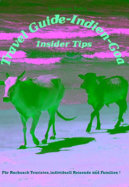 Produktbild: Travel Guide - Indien - Goa