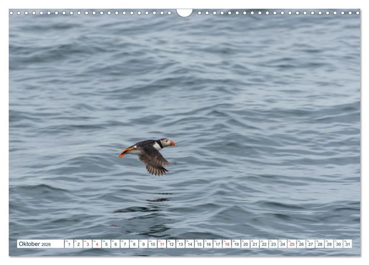Produktbild: Lofoten Vester&aring;len (Wandkalender 2026 DIN A3 quer), CALVENDO Monatskalender
