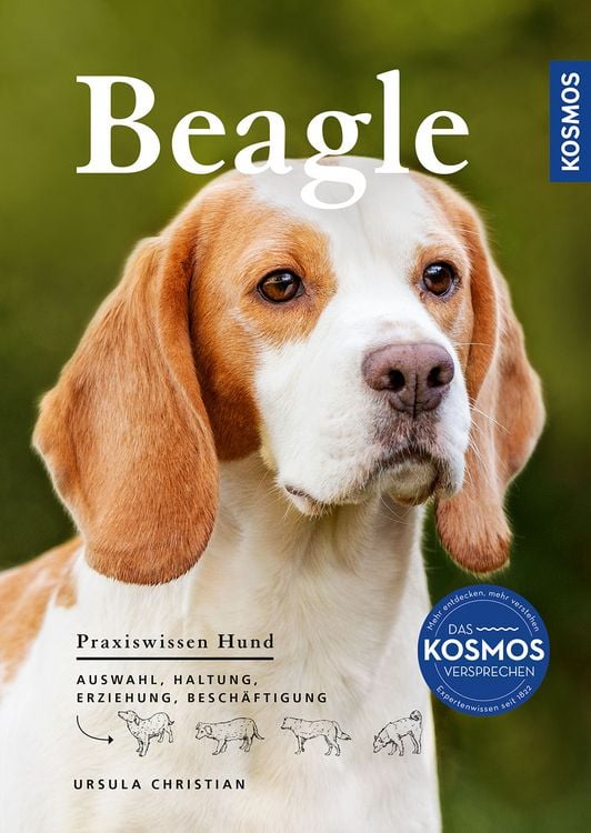 Produktbild: Beagle