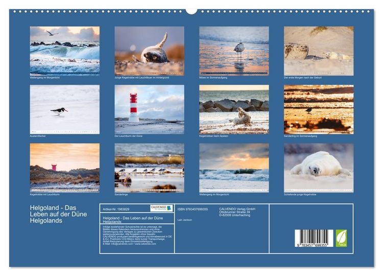 Produktbild: Helgoland - Das Leben auf der D&uuml;ne Helgolands (hochwertiger Premium Wandkalender 2026 DIN A2 quer), Kunstdruck in Hochglanz
