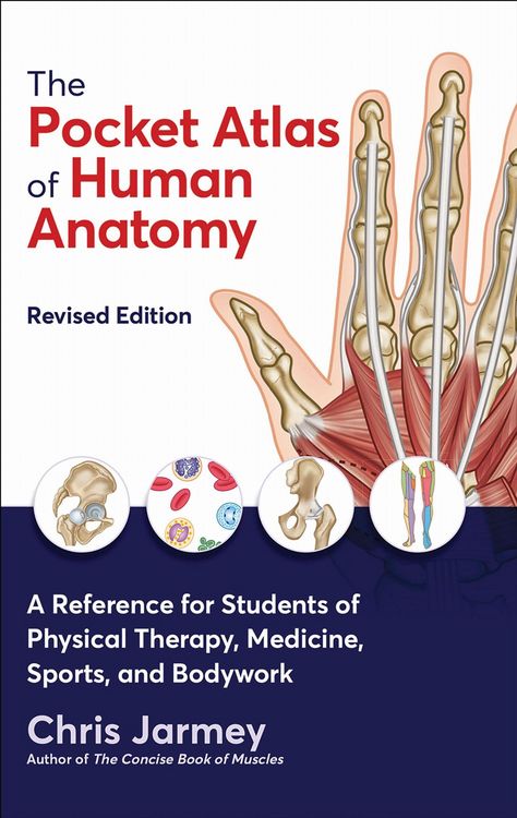 Produktbild: The Pocket Atlas of Human Anatomy