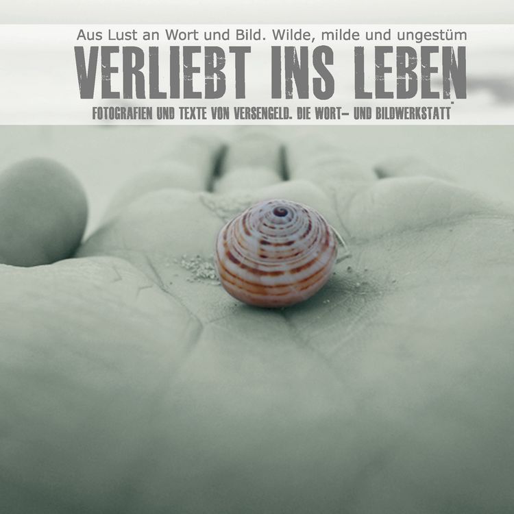 Produktbild: Verliebt ins Leben