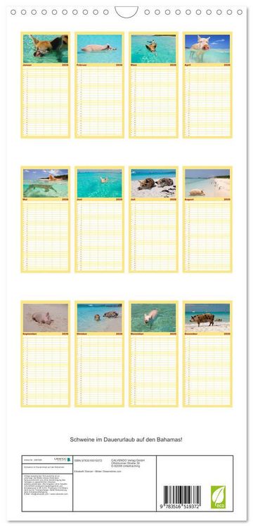 Produktbild: Familienplaner 2026 - Schweine im Dauerurlaub auf den Bahamas! mit 5 Spalten (Wandkalender, 21 x 45 cm) CALVENDO
