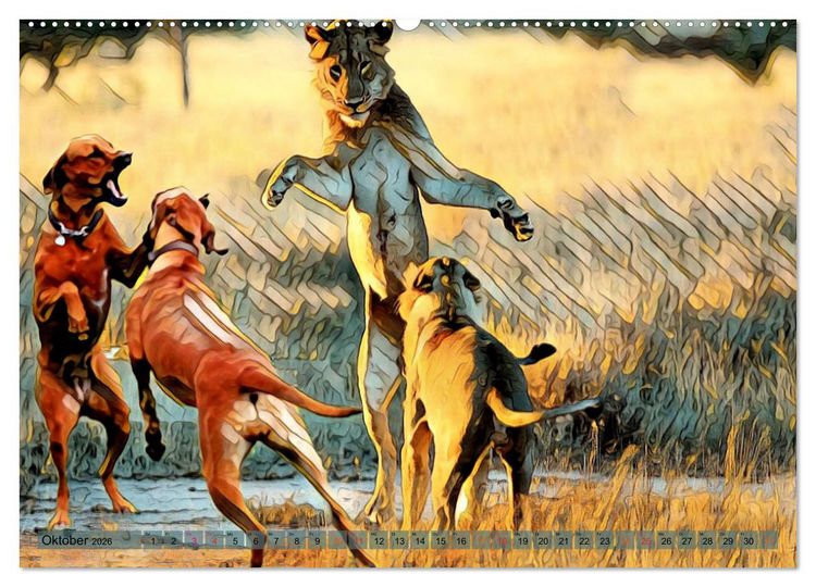 Produktbild: Rhodesian Ridgeback der Hund mit dem Tropfen L&ouml;wenblut (Wandkalender 2026 DIN A2 quer), CALVENDO Monatskalender